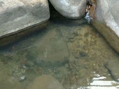 -象头山国家级自然保护区