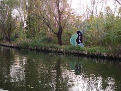 -溱湖国家湿地公园