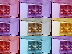 -王宝和酒家(黄浦店)