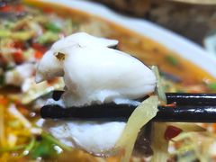 -盐与味葱葱鲫鱼•自贡菜江湖菜(春熙店)