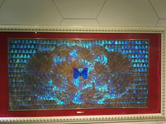 -上海昆虫博物馆