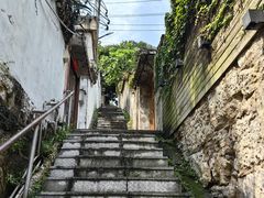 -树厨贵州菜(铜仁花果山店)