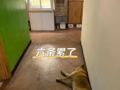 -啡语