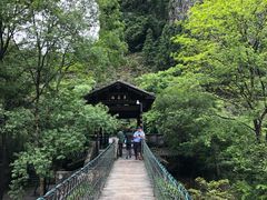 -石台牯牛降景区
