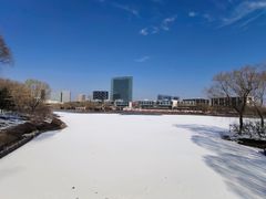 -大兴滨河森林公园