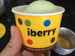 -莓园冰淇淋店