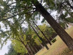 -Club Med地中海俱乐部·桂林度假村