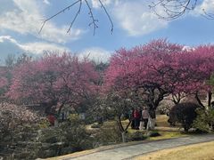 -杭州植物园