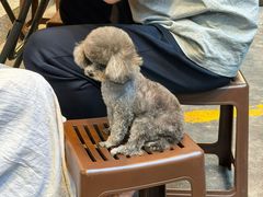-兴华里茶记(禅城同济首店)