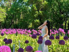-沈阳植物园