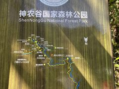 -炎陵县神农谷国家森林公园