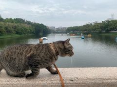 -潮州西湖