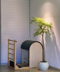 -闺蜜瑜伽·普拉提女性塑形馆