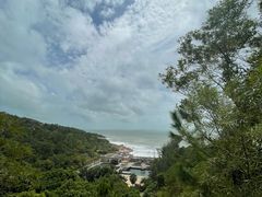 -广东惠东海龟国家级自然保护区