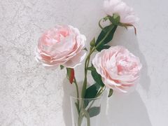-御苑精品川菜馆(锦江店)