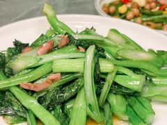 -朱记乳鸽王·非遗石岐乳鸽·全鸽宴(大兴旗舰店)