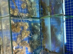 水产区-鼎级香· 火锅烤肉自助丨涮烤一体(蜀山唯品会店)