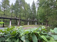 -黄海国家森林公园