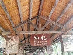 -海南槟榔谷黎苗文化旅游区