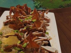 -泰康之家·申园