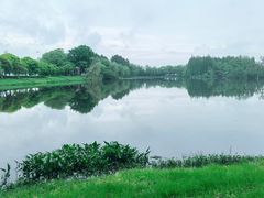 -艾溪湖湿地公园