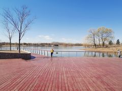 -东郊湿地公园