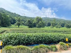 -灵隐飞来峰景区