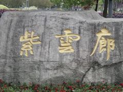 -嘉定紫藤园