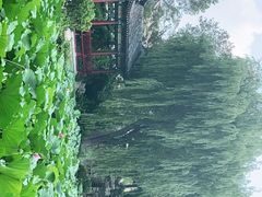 -莲池书院博物馆