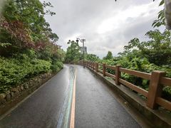 -杭州半山国家森林公园