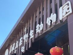 -青藏高原野生动物园