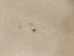 -潮汕良记牛肉火锅(洪武路店)