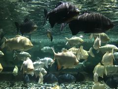 -成都浩海立方海洋公园