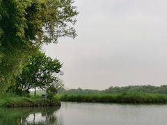 -西溪国家湿地公园