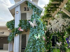 -Blue Concept Cafe&Farm·關於藍