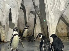 -太平洋海底世界