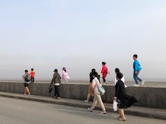 -芦潮港集贸市场