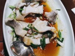 鲜花椒葱油鲈鱼-客语客家菜(东山口店)