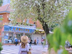 -溪岸路花鸟市场