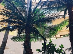 -澳门喜来登大酒店