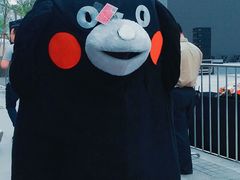 -远洋未来汇