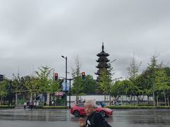 -龙华素斋(龙华路店)