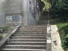 -武汉大学-樱园