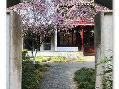 -常熟方塔园