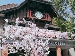 -星巴克臻选(思南公馆店)