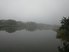 -大兴滨河森林公园