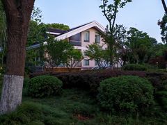 -上海市保健医疗中心