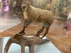 -陕西自然博物馆