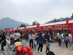 -后柳水乡