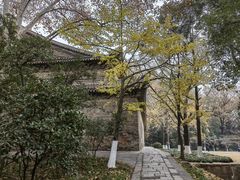 -灵谷景区